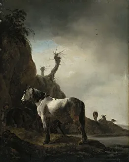 Outcrop Prints: White Horse on a River Bank, unknown date. Creator: Philip Wouverman
