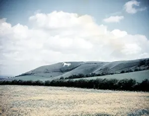 Ware Prints: The White Horse at Westbury, Wiltshire, c1955. Creator: Arthur Charles Kirby Ware
