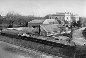 Singleton Gallery: The White House and greenhouses, Washington DC, USA, 1908
