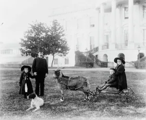 Niece Prints: White House--Major Russell Harrison and Harrison children--Baby McKee and sister
