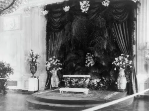 Cyanotypes 1900 1910 Gmgpc Prints: White House wedding decorations Flowers, 1906. Creator: Frances Benjamin Johnston
