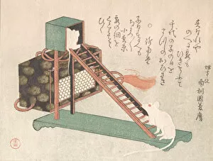 Pets Gallery: White Mice Playing, probably 1816. Creator: Kubo Shunman
