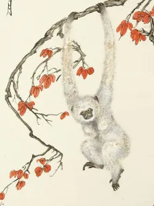 Cernuschi Museum Prints: White monkey, 1937. Creator: Zhang Shanzi