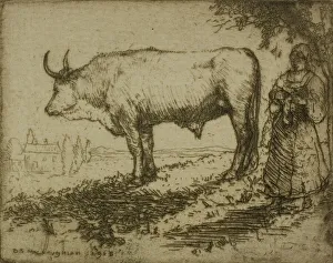 The White Ox, 1905. Creator: Donald Shaw MacLaughlan