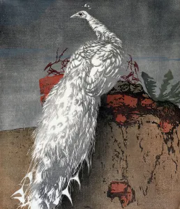 Distracted Prints: White peacock, 1910. Creator: Hans Frank