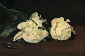 George Allen And Unwin Ltd Prints: White Peonies, 1864, (1937). Creator: Edouard Manet