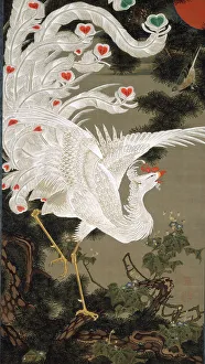 White Phoenix and Old Pine Tree, 1766
