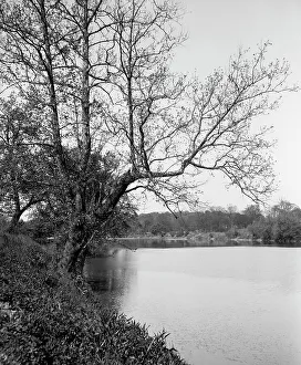 Riverfront Prints: The White River, Riverside Park
