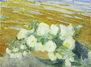 Wiik Maria Prints: White roses in a vase. Creator: Maria Wiik