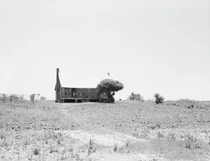 Southerner Prints: White sharecropper's home, near Cleveland, Mississippi, 1937. Creator: Dorothea Lange