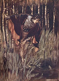 Childrens Illustration Gallery: The White Snake, 1909