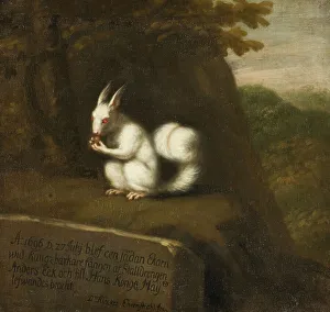 David Klöcker Ehrenstrahl Prints: White Squirrel in a Landscape, 1697. Creator: David Klocker Ehrenstrahl