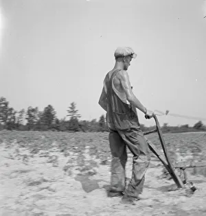 Workwear Prints: White tenant farmer works on shares. North Carolina, 1936. Creator: Dorothea Lange