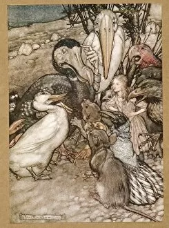Dodo Gallery: But who has won? from Alices Adventures in Wonderland, by Lewis Carroll, pub. 1907