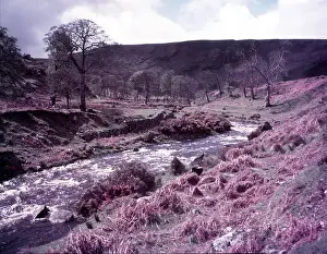 Irish Republic Prints: Wicklow, Ireland, c1955. Creator: Arthur Charles Kirby Ware
