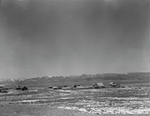 Widtsoe Prints: Widtsoe Valley purchase area, Utah, 1936. Creator: Dorothea Lange
