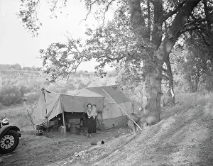 Wife and child of migrant worker, encamped near Winters, California, 1936. Creator: Dorothea Lange