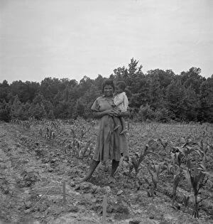 Corn Collection: Wife and child of... sharecropper... Hillside Farm, Person County, North Carolina, 1939
