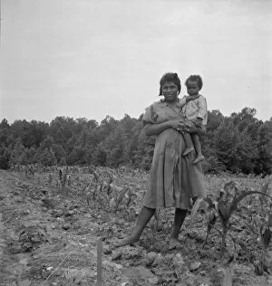 Sharecropper Gallery: Wife and child of young sharecropper... Hillside Farm, Person County, North Carolina, 1939