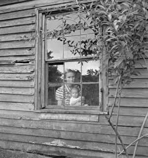Sharecropper Gallery: Wife and five month old baby of young tobacco sharecropper... Granville County, N Carolina, 1939