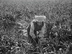 Crop Prints: Wife of formerly rehabilitation client now operating own farm