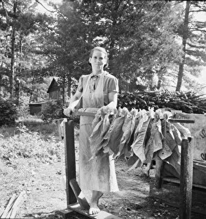Wife of tenant farmer, Mrs. Oakley, works... Granville County, North Carolina, 1939. Creator: Dorothea Lange