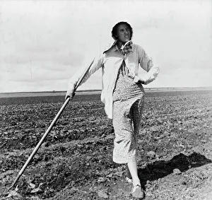 Hoeing Prints: Wife of Texas tenant farmer, 1937. Creator: Dorothea Lange