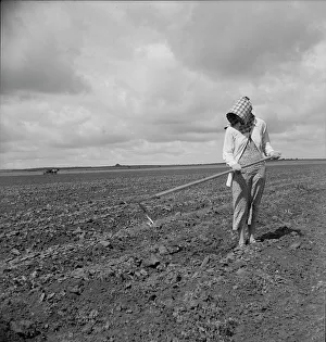 Sharecropper Prints: Wife of Texas tenant farmer, 1937. Creator: Dorothea Lange
