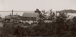 Capt Gallery: Wilcox Landing, 1861-65. Creator: Andrew Joseph Russell