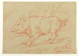 Crayon Prints: Wild Boar, between 1698 and 1769. Creator: Johann Elias Ridinger