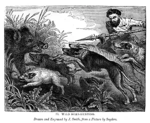 Aggressive Prints: Wild boar hunting, c1600-1650 (1843). Artist: J Smith