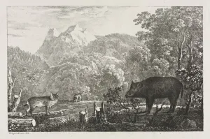 Wild Boar, Wildcat and Lynx, 1807. Creator: Maximilian Josef Wagenbauer (German, 1774-1829)