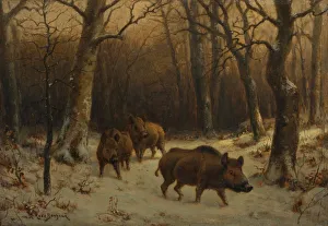 Wild Boars in the Snow, c. 1872-1877. Creator: Rosa Bonheur (French, 1822-1899)
