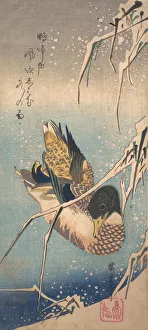 A Wild Duck near a Snow-laden Shore, ca. 1843. ca. 1843. Creator: Ando Hiroshige