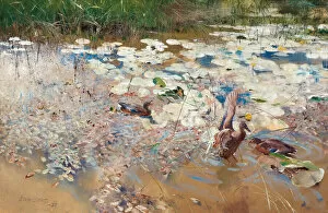 Summer Landscape Collection: Wild Ducks, 1887. Creator: Liljefors, Bruno Andreas (1860-1939)