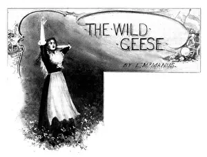 Lily Prints: The Wild Geese, 1898. Creator: Robert Sauber