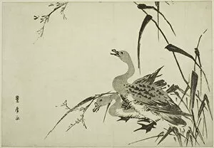 Reed Gallery: Wild Geese and Reeds, c. 1810. Creator: Utagawa Toyohiro