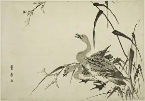 Toyohiro Utagawa Prints: Wild Geese and Reeds, c. 1810. Creator: Utagawa Toyohiro