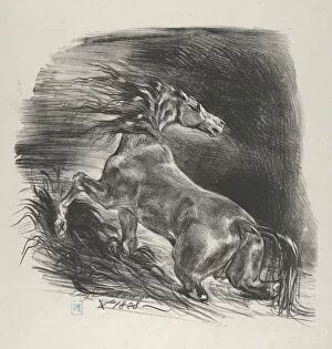 Images Dated 28th April 2020: Wild Horse, 1828. 1828. Creator: Eugene Delacroix