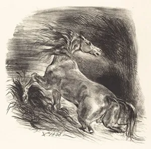 Wild Horse Coming out of the Water (Cheval sauvage), 1828. Creator: Eugene Delacroix