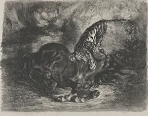 Biting Prints: Wild Horse Felled by a Tiger, 1828. 1828. Creator: Eugene Delacroix