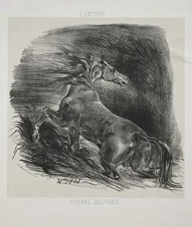 1798 1863 Prints: The Wild Horse, or Frightened Horse Leaving the Water, 1828. Creator: Eugene Delacroix