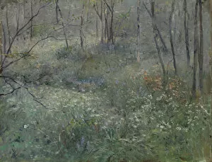 Wild Flowers Gallery: Wild Parsley, 1900. Creator: Sarah Paxton Ball Dodson