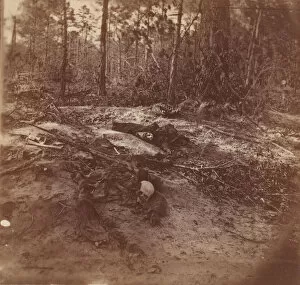 Debris Gallery: The Wilderness Battlefield, 1864. Creator: Unknown