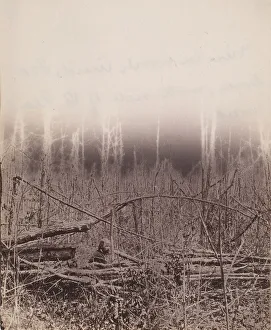 The Wilderness Battlefield, 1864. Creator: Unknown