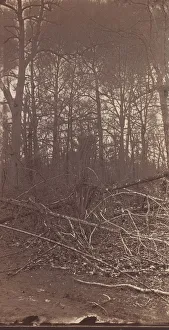 The Wilderness Battlefield, 1864. Creator: Unknown