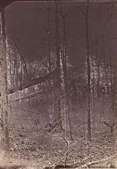 The Wilderness Battlefield, 1864. Creator: Unknown