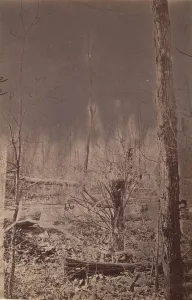 The Wilderness Battlefield, 1864. Creator: Unknown