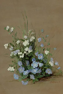 Private Collectionrealism Prints: Wildflowers with forget-me-nots, 1893. Creator: Chittenden, Alice Brown (1859-1944)