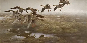 Goose Prints: Wildgeese Settling, 1907. Creator: Bruno Liljefors